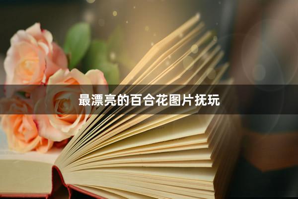 最漂亮的百合花图片抚玩